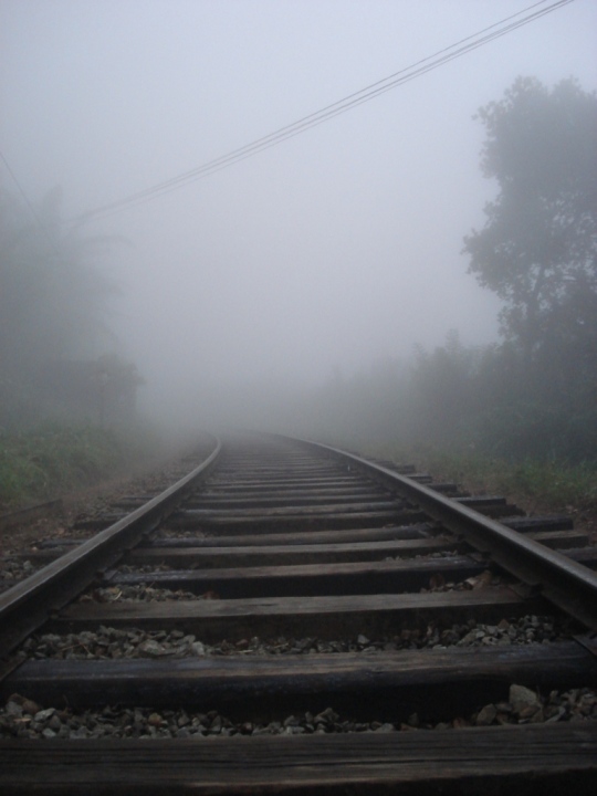 Railtracks in the Mist